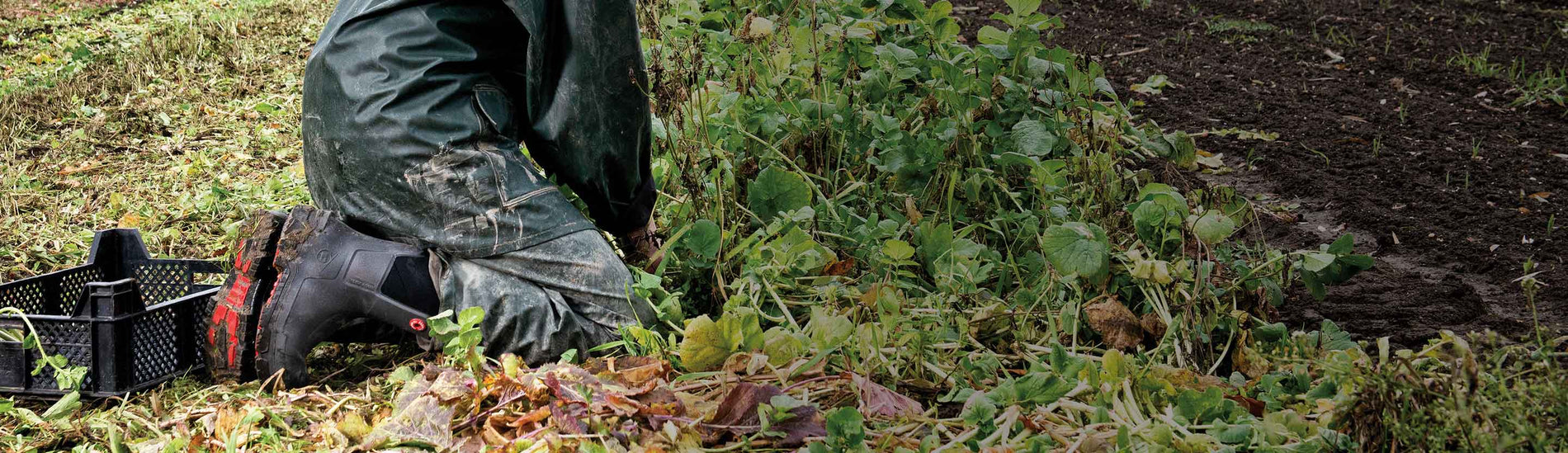 Close up image of someone gardening, wearing a pair of Dunlop Snugboot Wellingtons