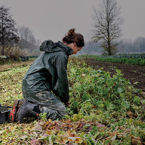 Close up image of someone gardening, wearing a pair of Dunlop Snugboot Wellingtons