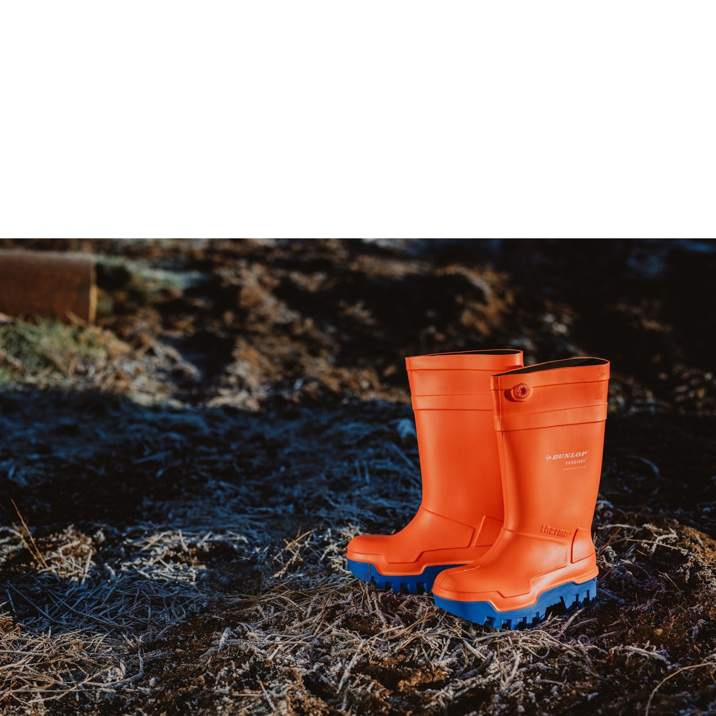 Dunlop Purofort Thermo Men's Dunlop Wellies Unisex Dunlop