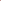 Amsterdammer Wellington Dark Red
